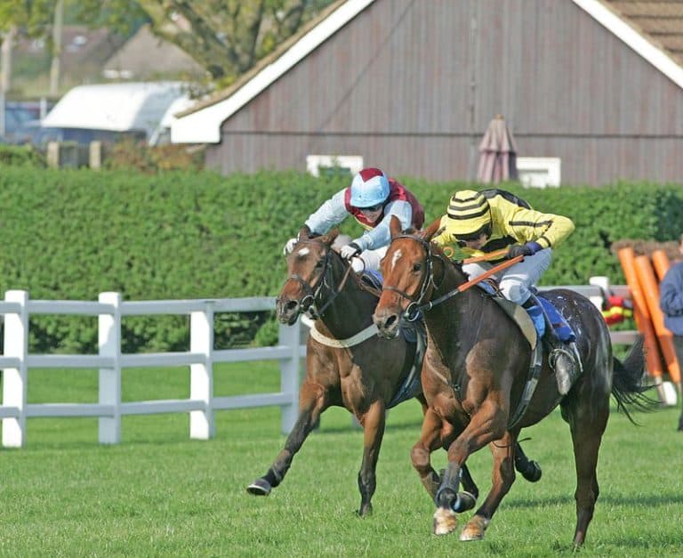 horse racing two horses neck and neck on run in